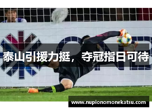 泰山引援力挺，夺冠指日可待